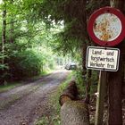 Kritik am Radweg im Urleswald