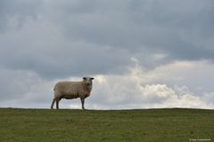 Kritische Blicke