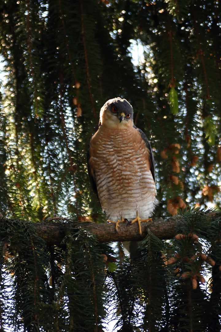 Kritischer Blick 