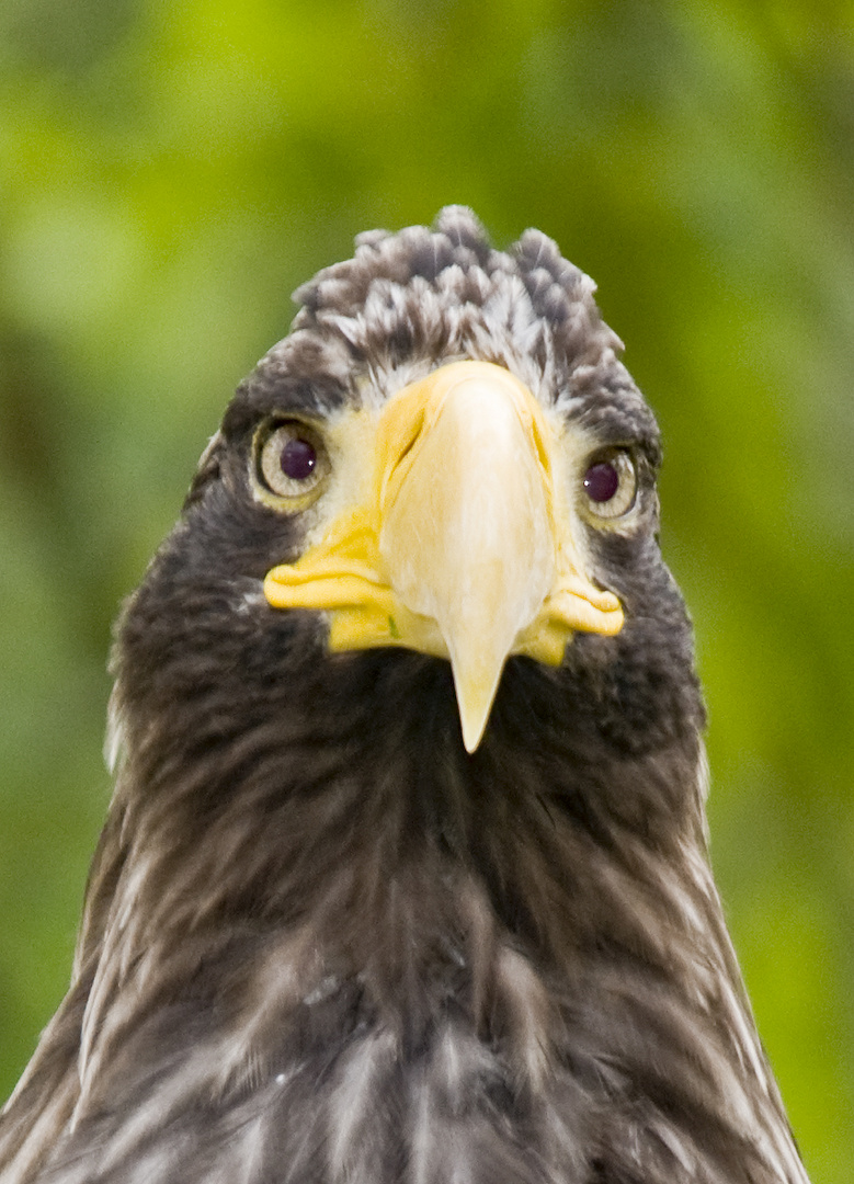 Kritischer Blick