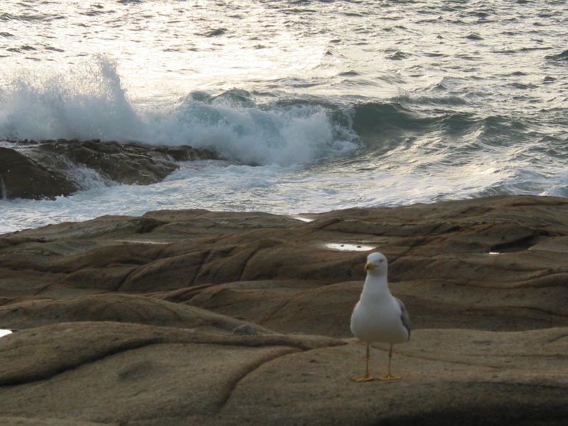 Kritischer Blick auf das Meer?