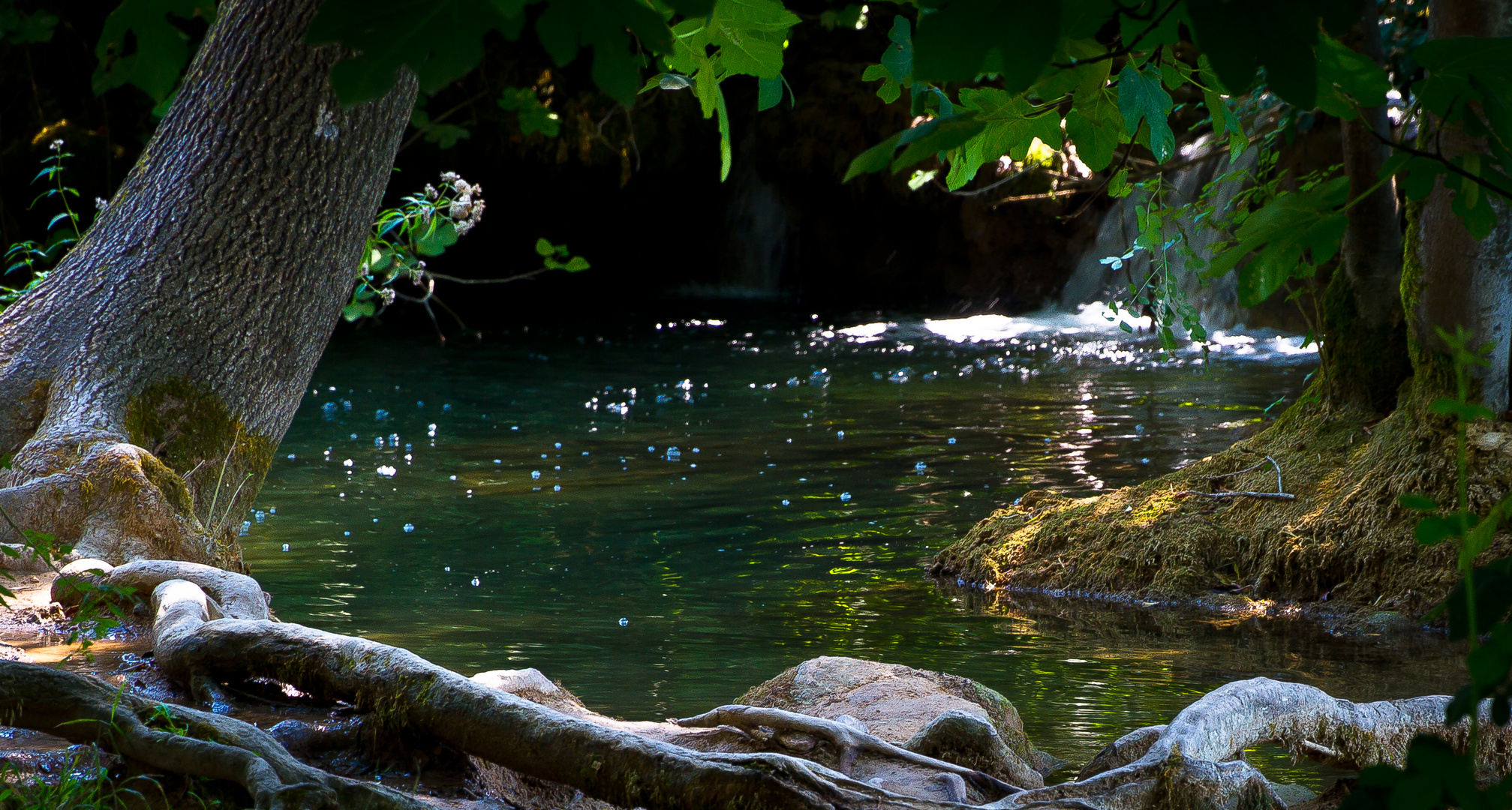 KRKA Nationalpark