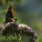 Krka Nationalpark