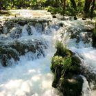 Krka Nationalpark (Kroatien )