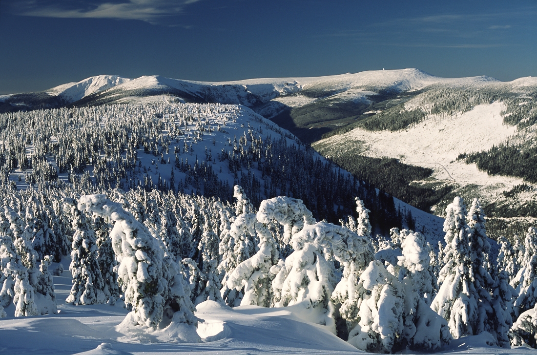 Krkonose moutains in winter