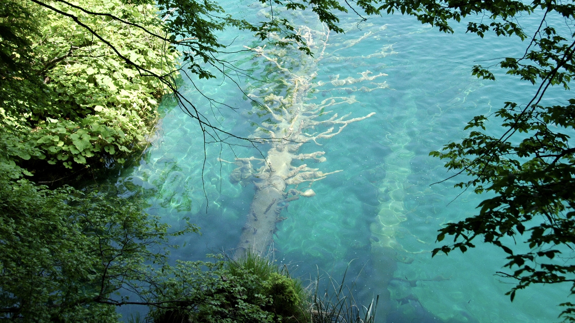Kroatien (2009), NP Plitvicka jezera