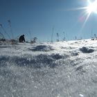 Kroatien Gebirge (Velebit) in 600 Meter Höhe.1