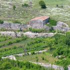 Kroatien, Insel Cres, Umgebungen vom Dorf Lubenice (Besser gross gesehen)