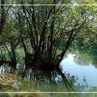 Kroatien - Krka (kl. Panorama)