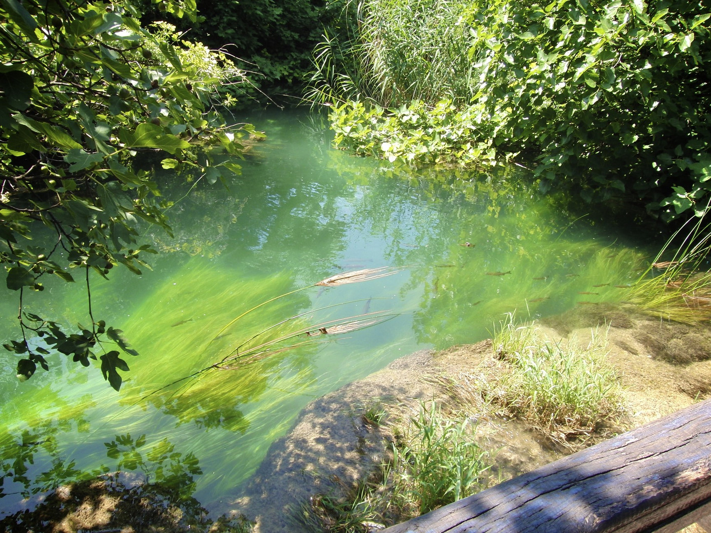 Kroatien Krka Nationalpark (2011)