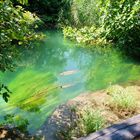 Kroatien Krka Nationalpark (2011)