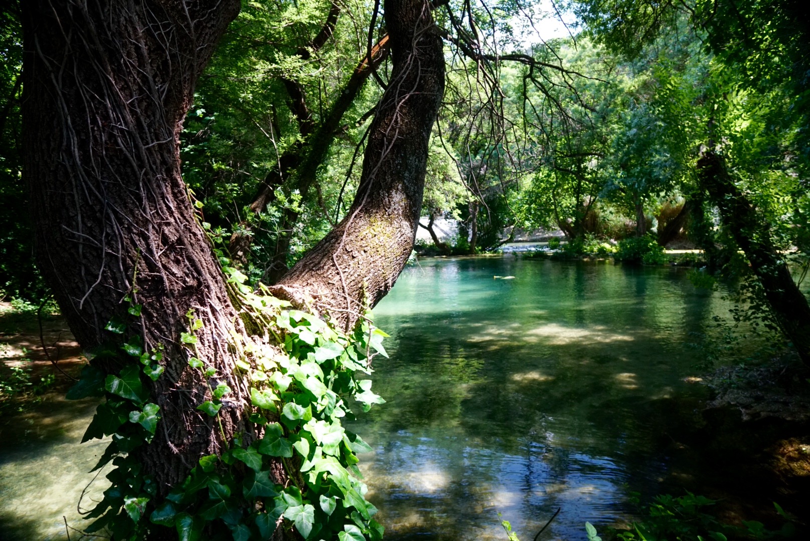 Kroatien NP Krk