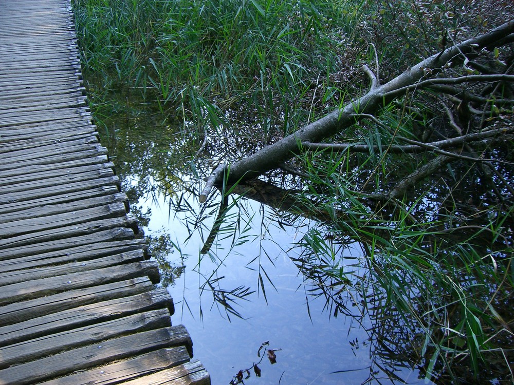 Kroatien-Plitvica Seen