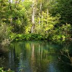 Kroatien: Plitvice-24