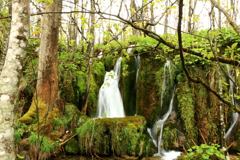 (Kroatien) Plitvicer Nationalpark!