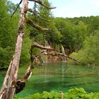 Kroatien / Plitvicer Seen #9