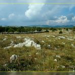 Kroatische Landschaft (2)