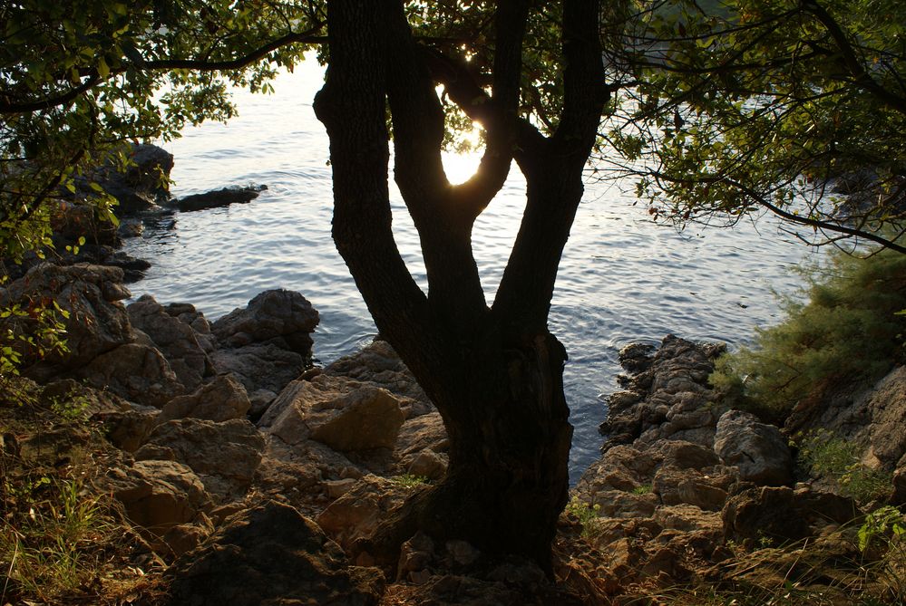 Kroatische Sonne von Kamimieze 