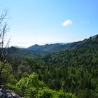 Kroatischer Wald