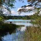 Krönender Abschluss am Fohnsee