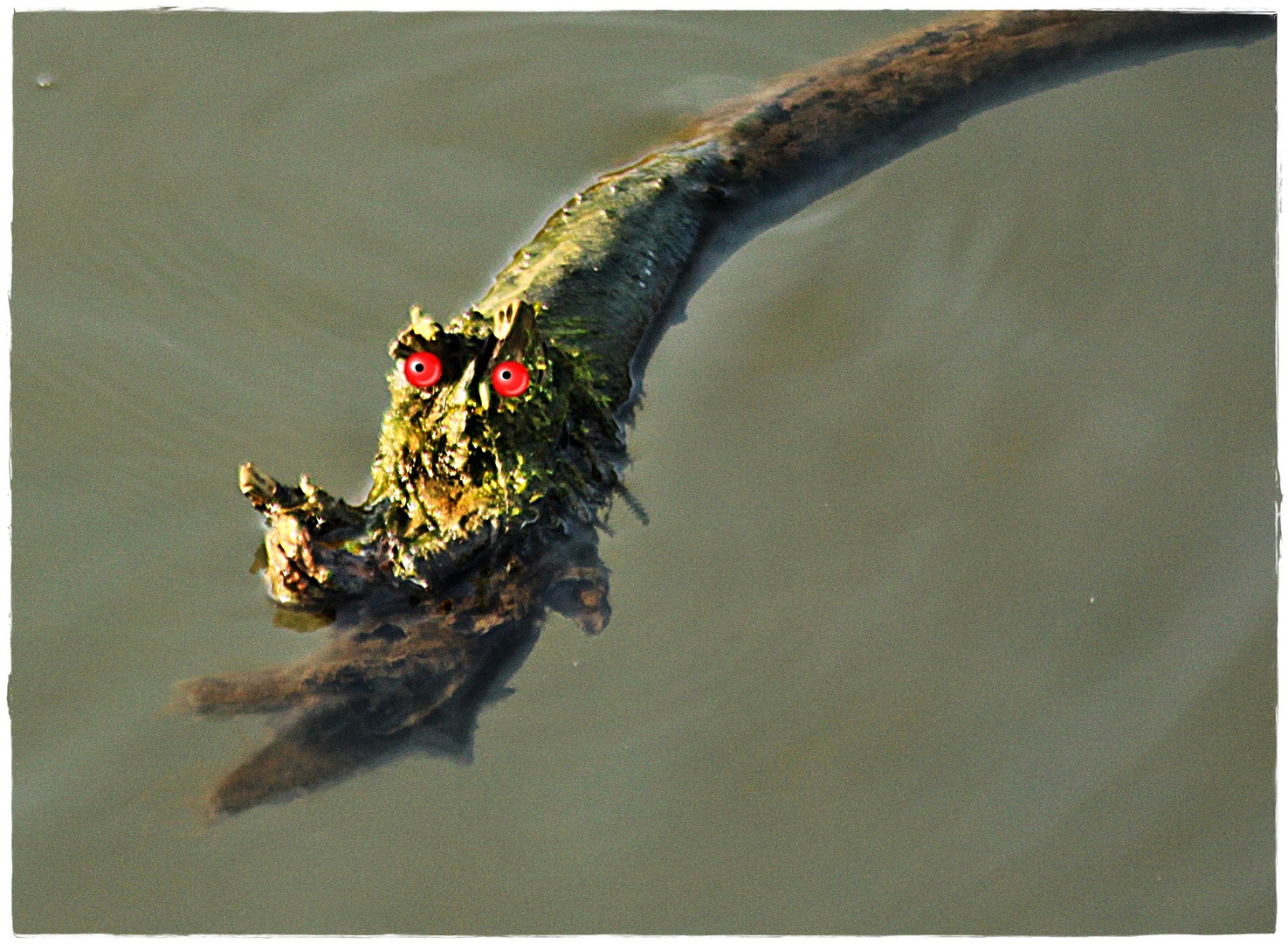 Krokodil am Nil