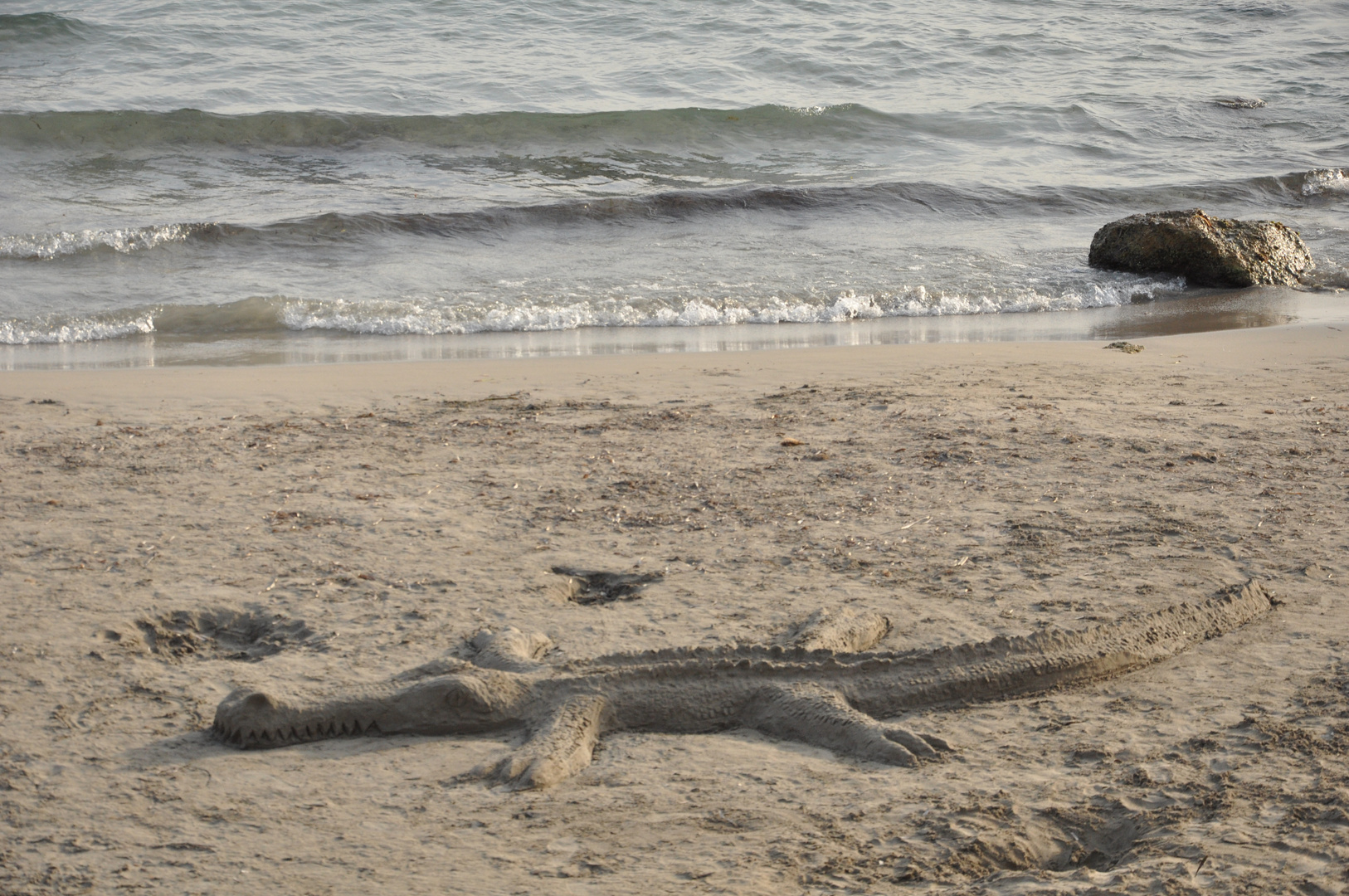Krokodil am Strand