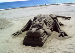 Krokodil am Strand...