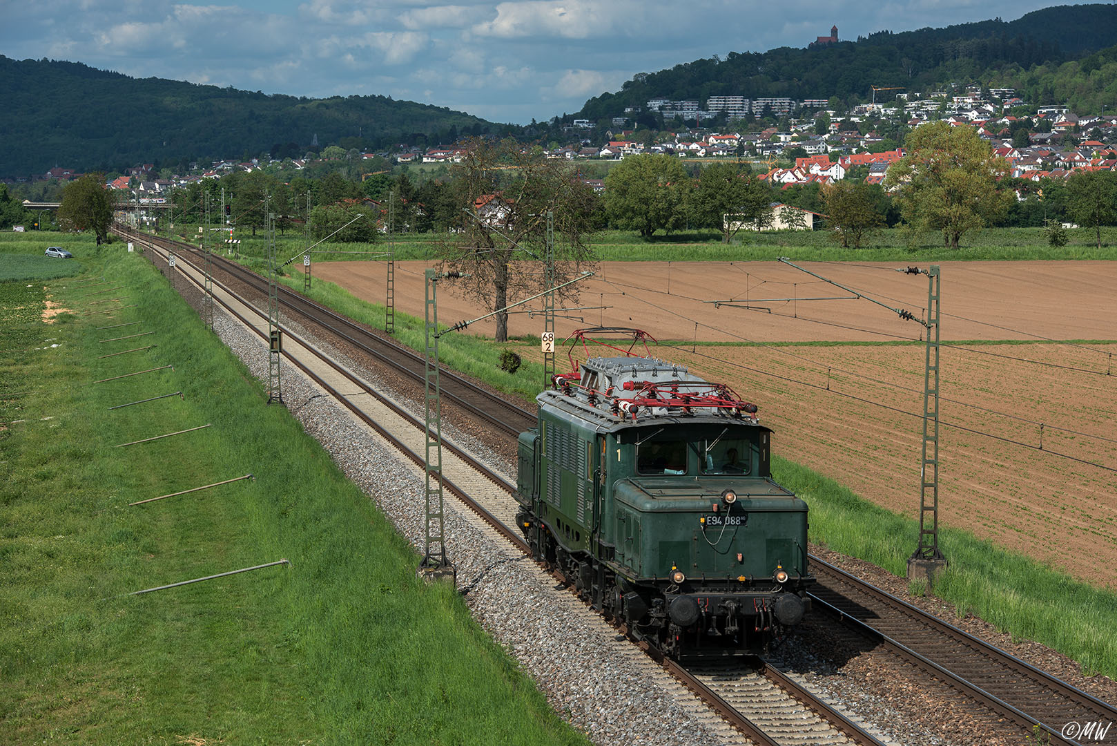 Krokodil an der Bergstraße