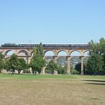 Krokodil auf Brücke gesichtet