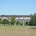 Krokodil auf Brücke gesichtet