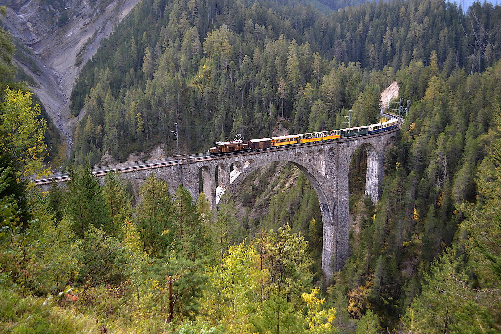 Krokodil bei Wiesen (RhB)