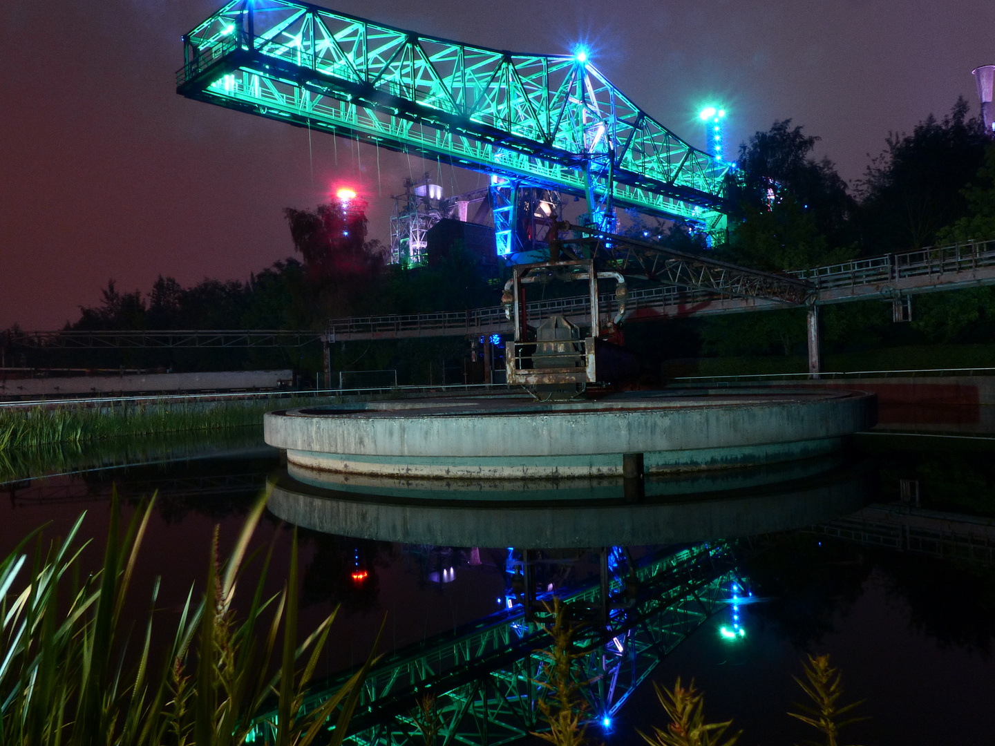 Krokodil im Landschaftspark Duisburg