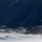 Krokodil im Nebel am frühen Morgen