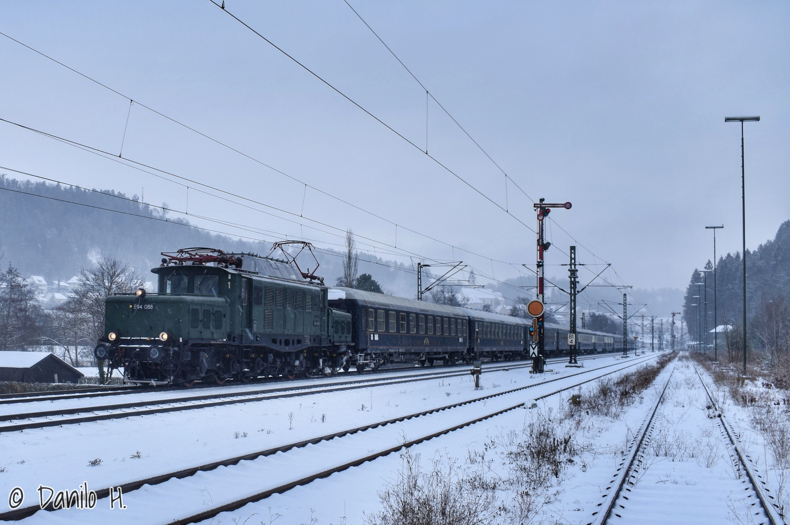 Krokodil im Schnee