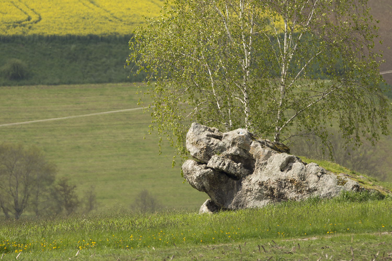 Krokodilfelsen