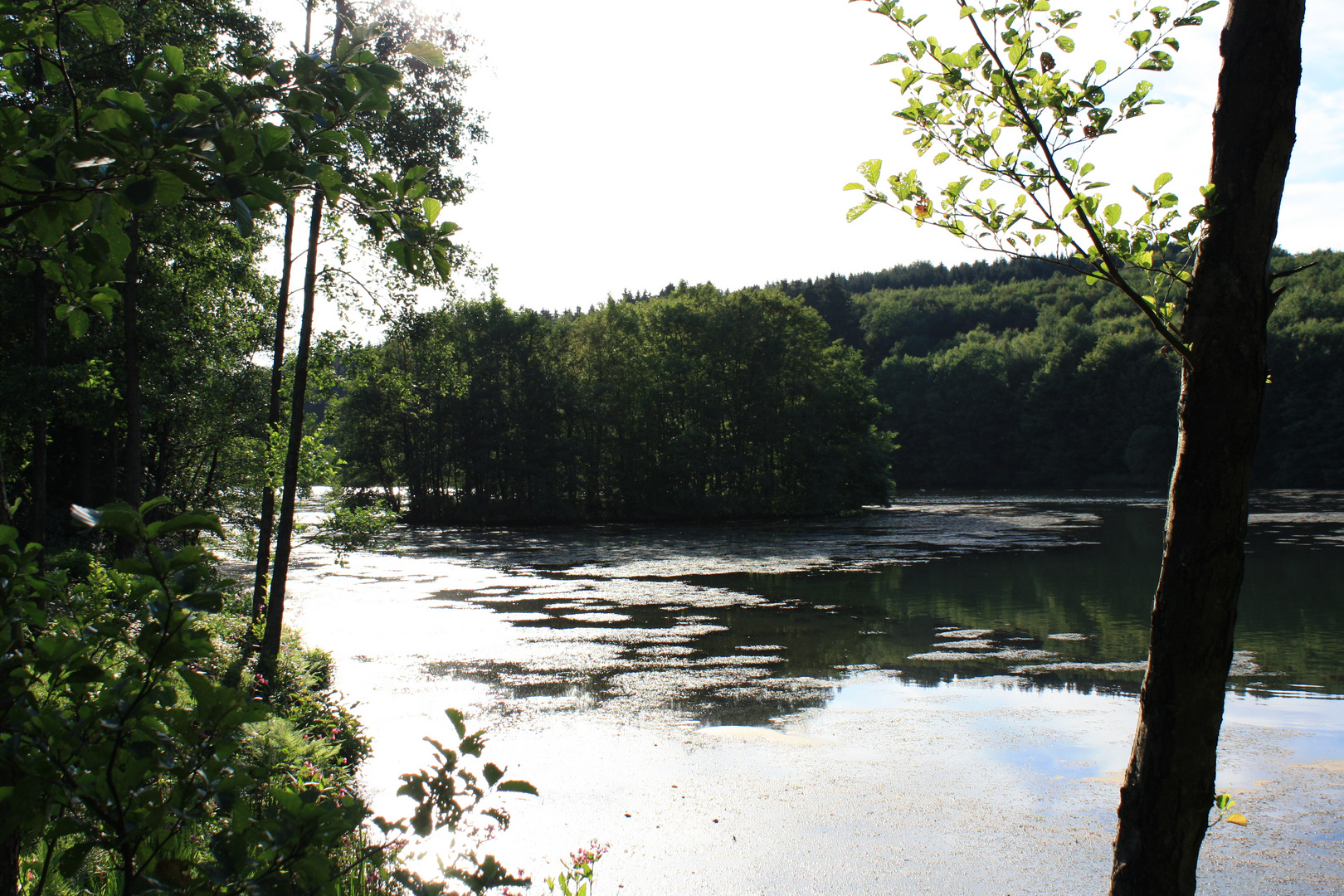 Krombacher Insel