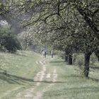 kromsdorftreffen im orphalgrund