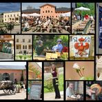 Krongut Bornstedt, Potsdam, Brandenburg, Sommer, Sonne, Biergarten, Feiern, Fotolocation