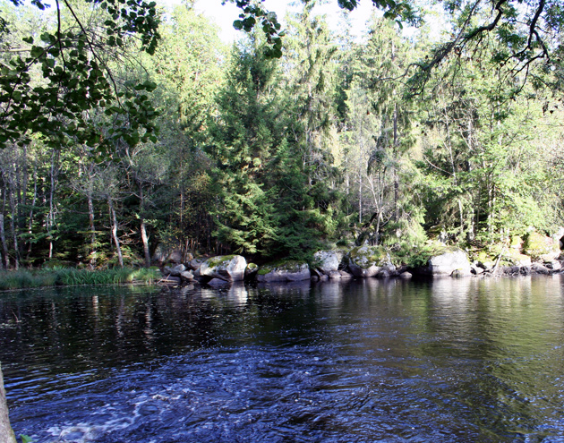 Kronobergs Län / Stenfors2