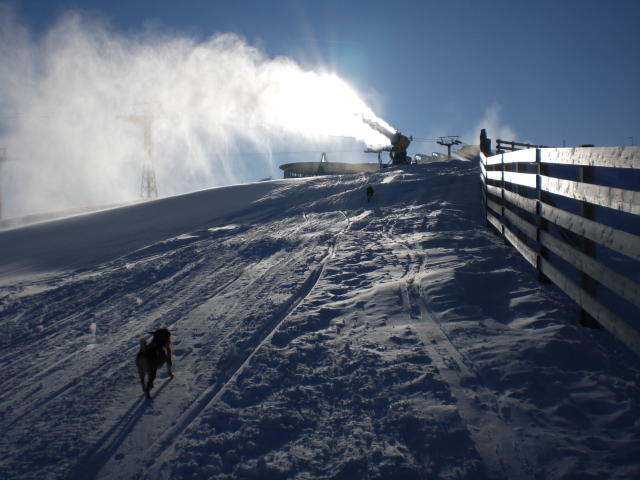 Kronplatz Tourenski