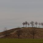 Kronsberg - Panorama