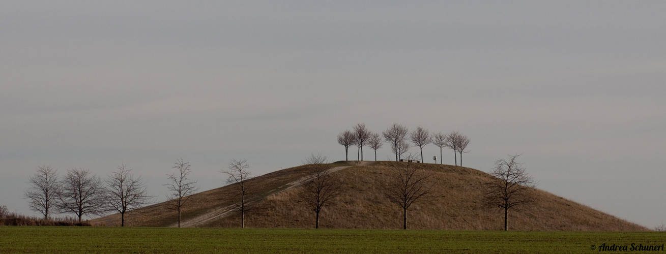 Kronsberg - Panorama