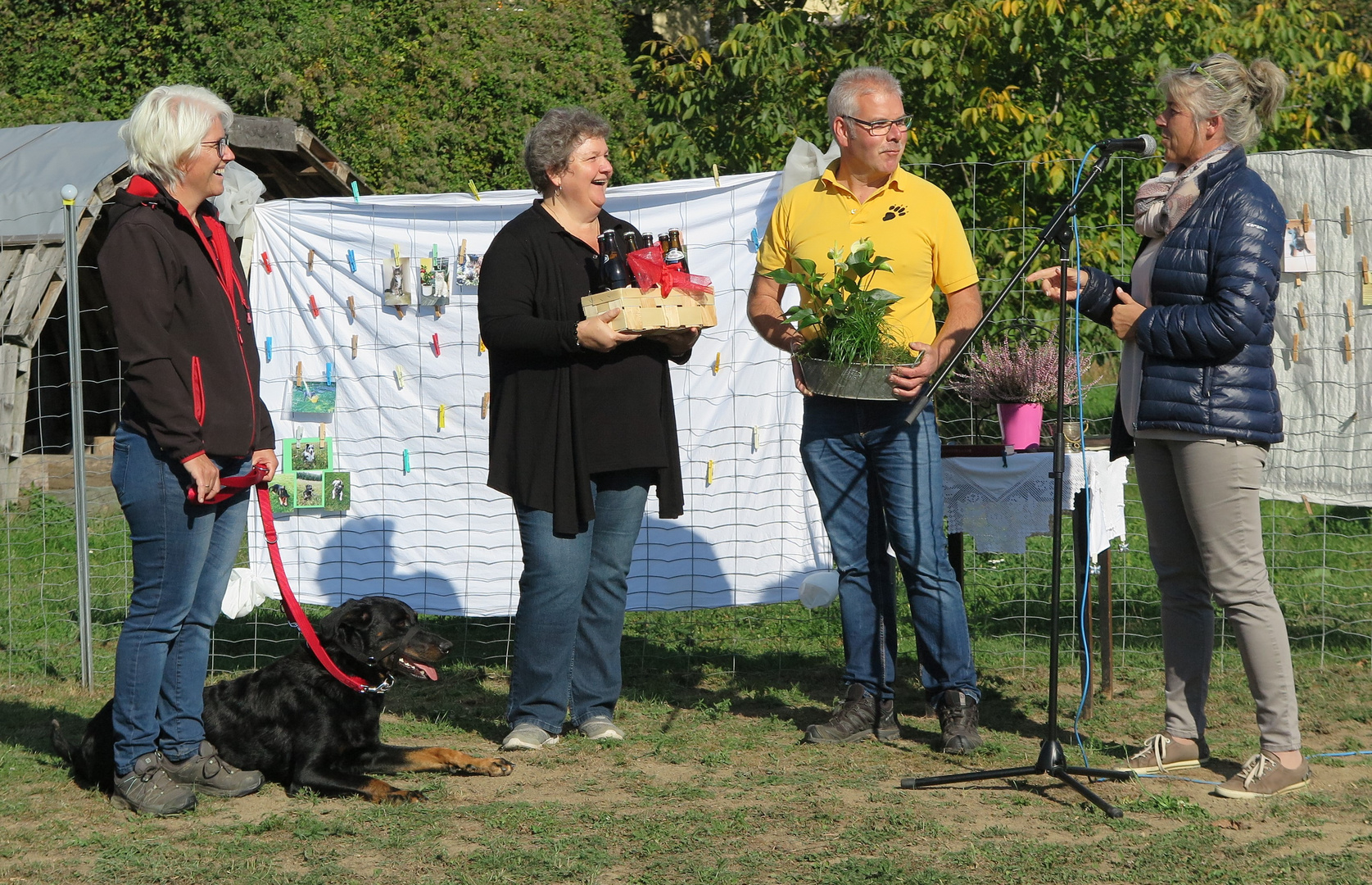 Kronstorf  Hundefreilaufzone 