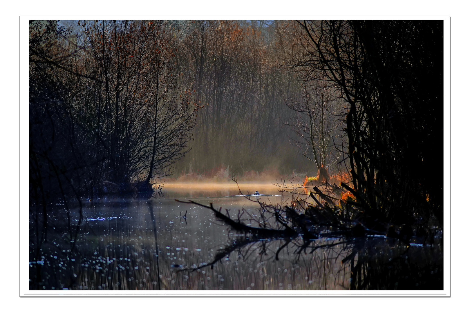 Krottensee