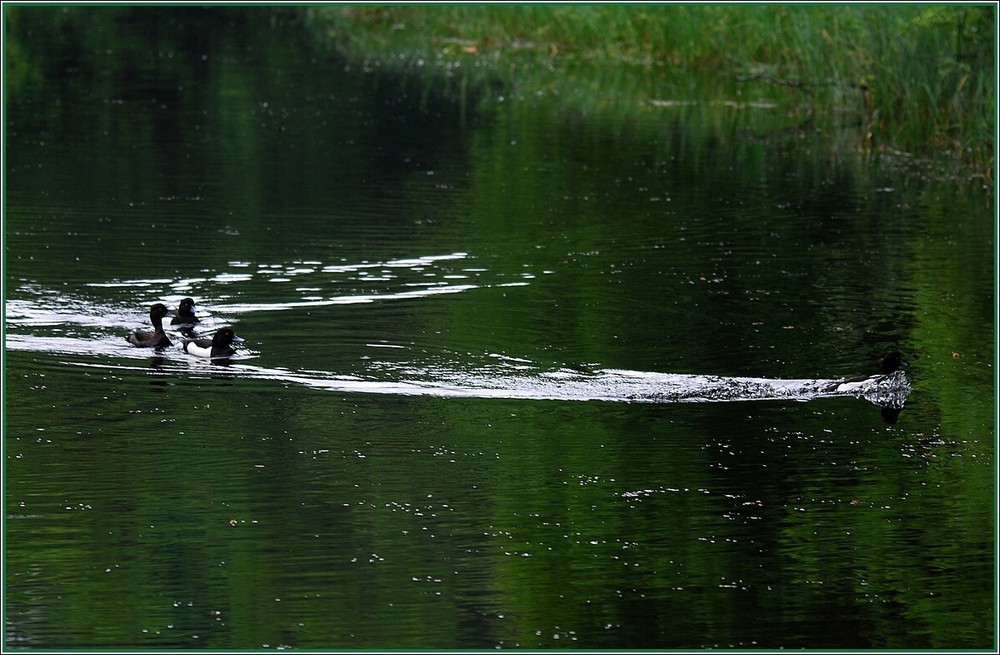 Krottensee