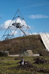 Krtek / Pauli am Tetraeder in Bottrop