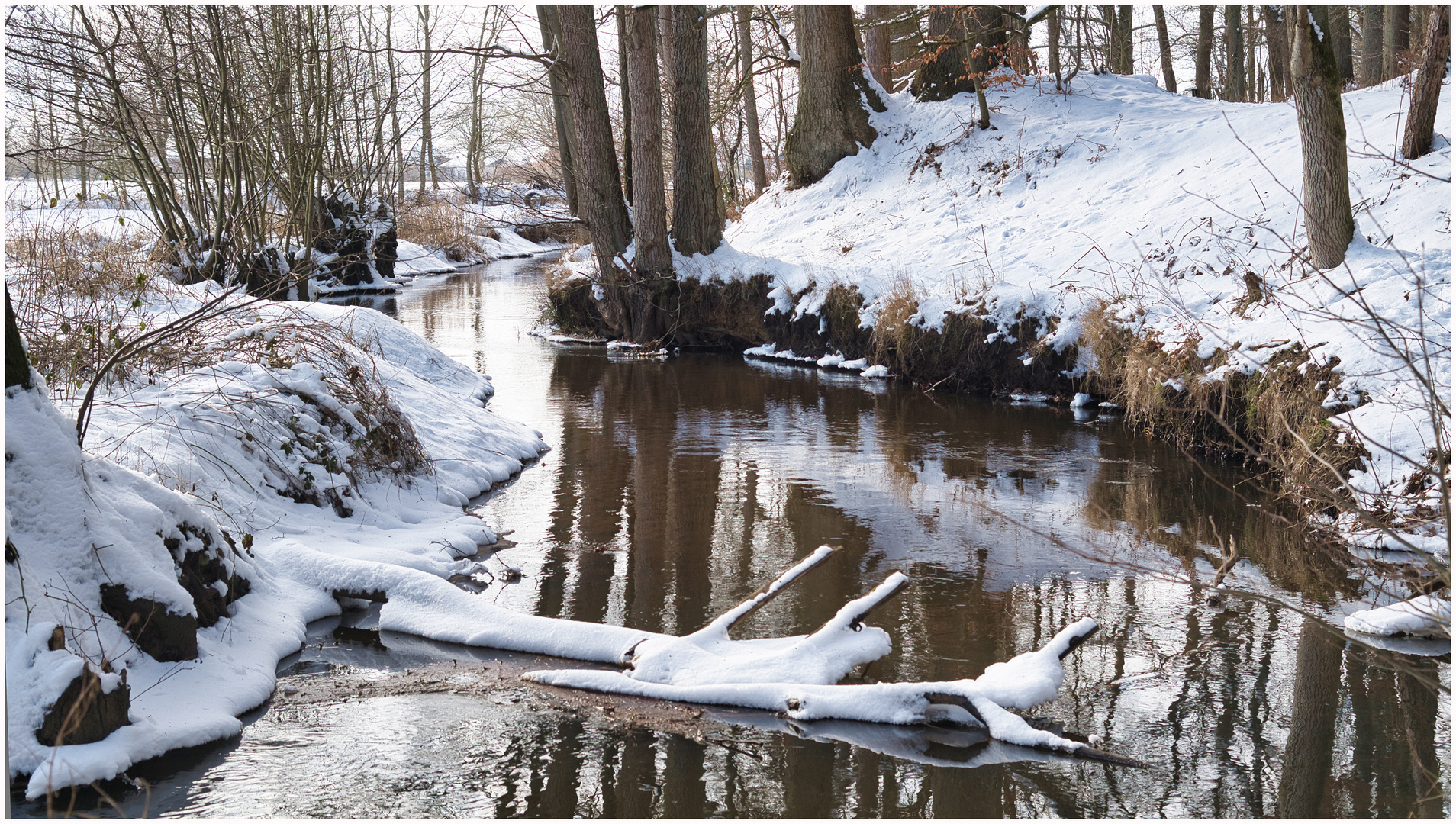 Krückau im Winterkleid