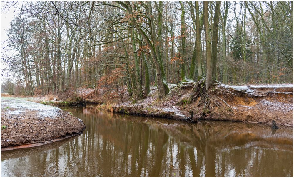 Krückau in den Heeder Tannen