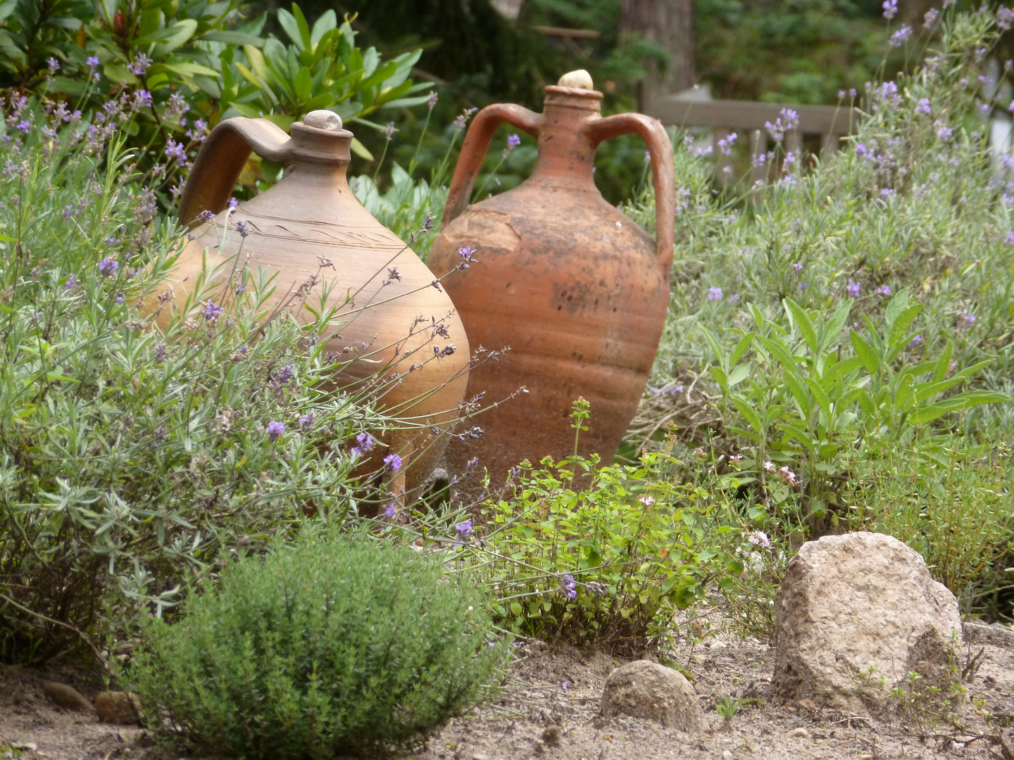 Krüge im Kräutergarten