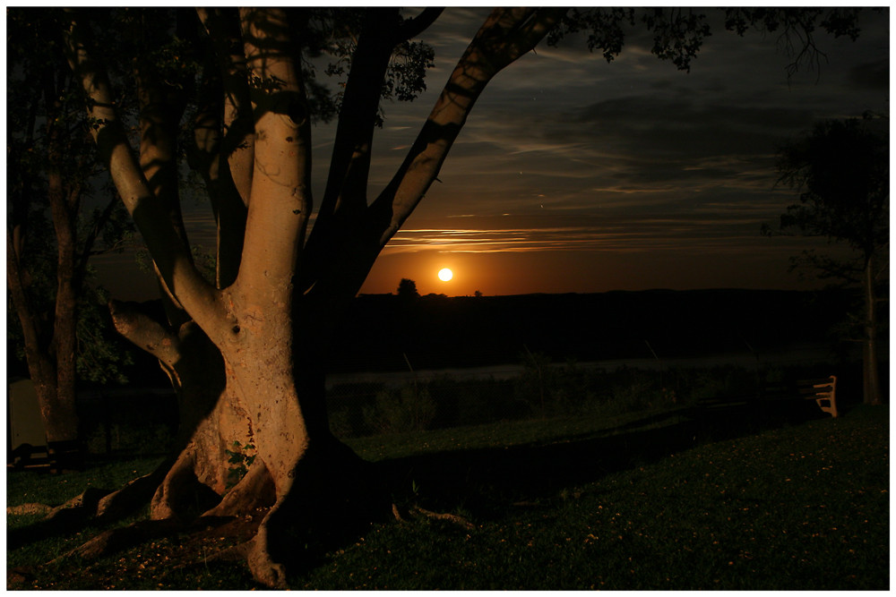 Krüger National Park bei Nacht